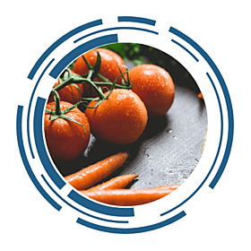 Tomatoes and carrots, damp, on a table. The image is framed by a circular, futuristic design.
